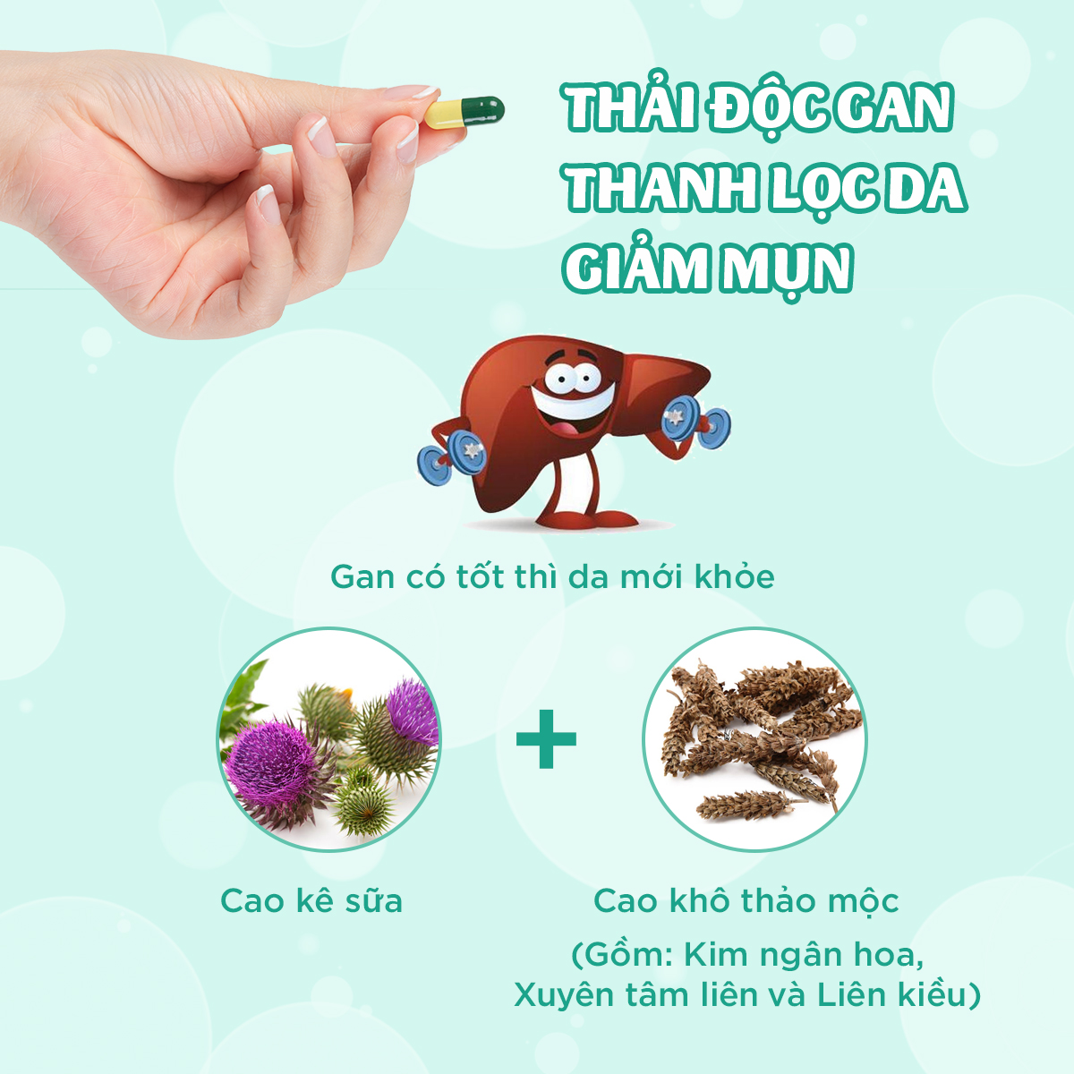 Hỗ trợ gan - thanh lọc cơ thể: giải cứu làn da “kêu cứu” ngày đông