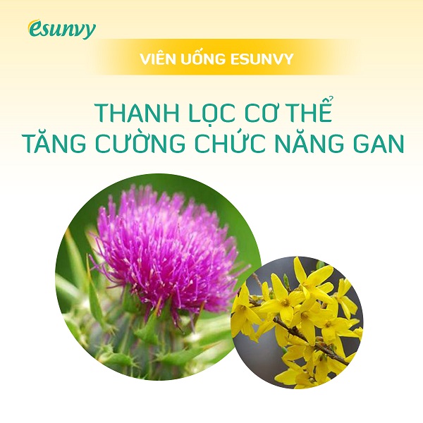 top-4-san-pham-cham-soc-da-mua-xuan-esunvy