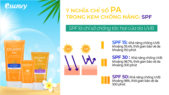 Y nghia_ chi so SPF-02